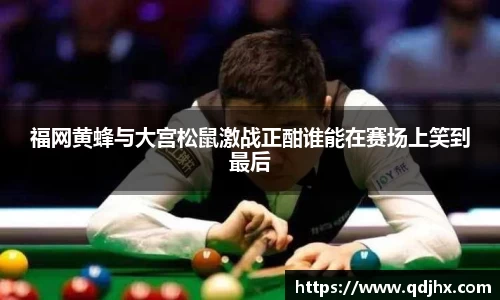 球盟会官网入口球盟会官方网站