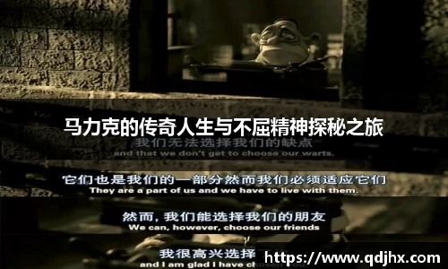 球盟会官网入口球盟会官方网站