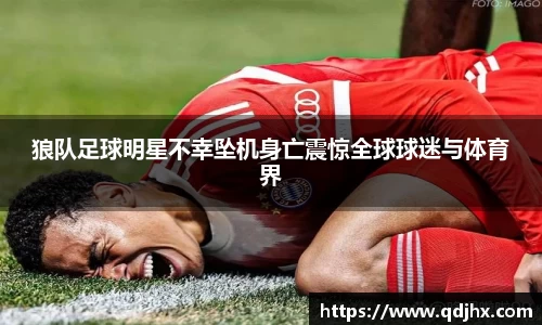 球盟会官网入口球盟会官方网站